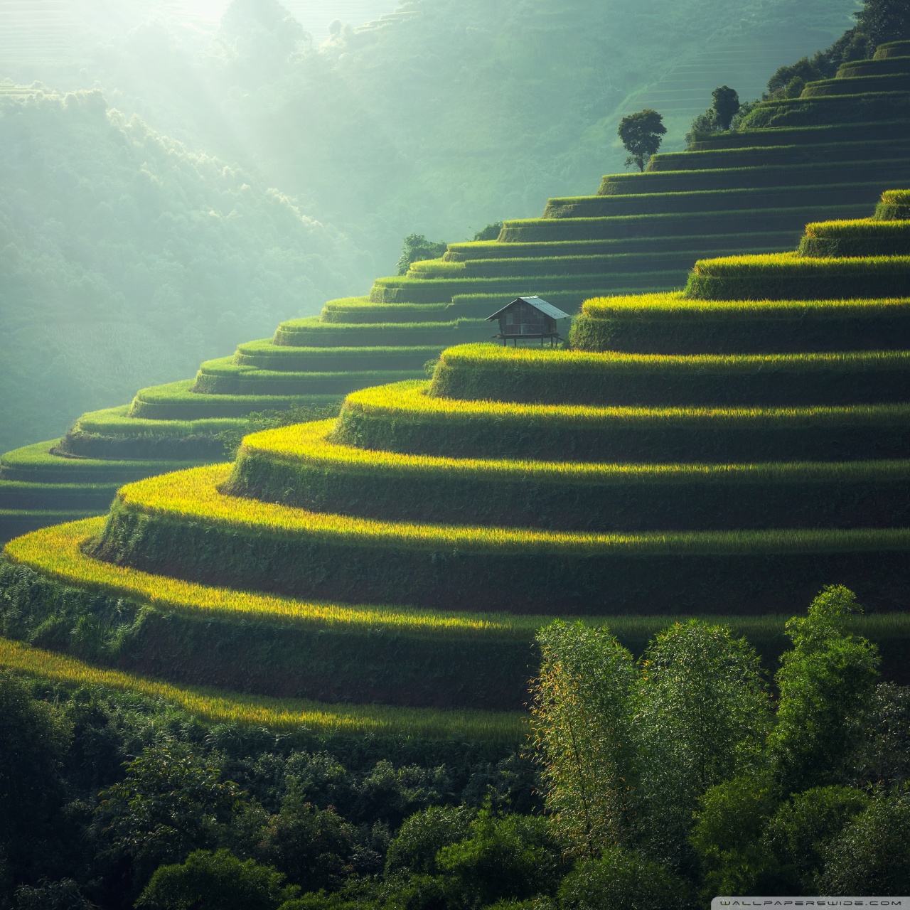 Pexels Landscape - HD Wallpaper 