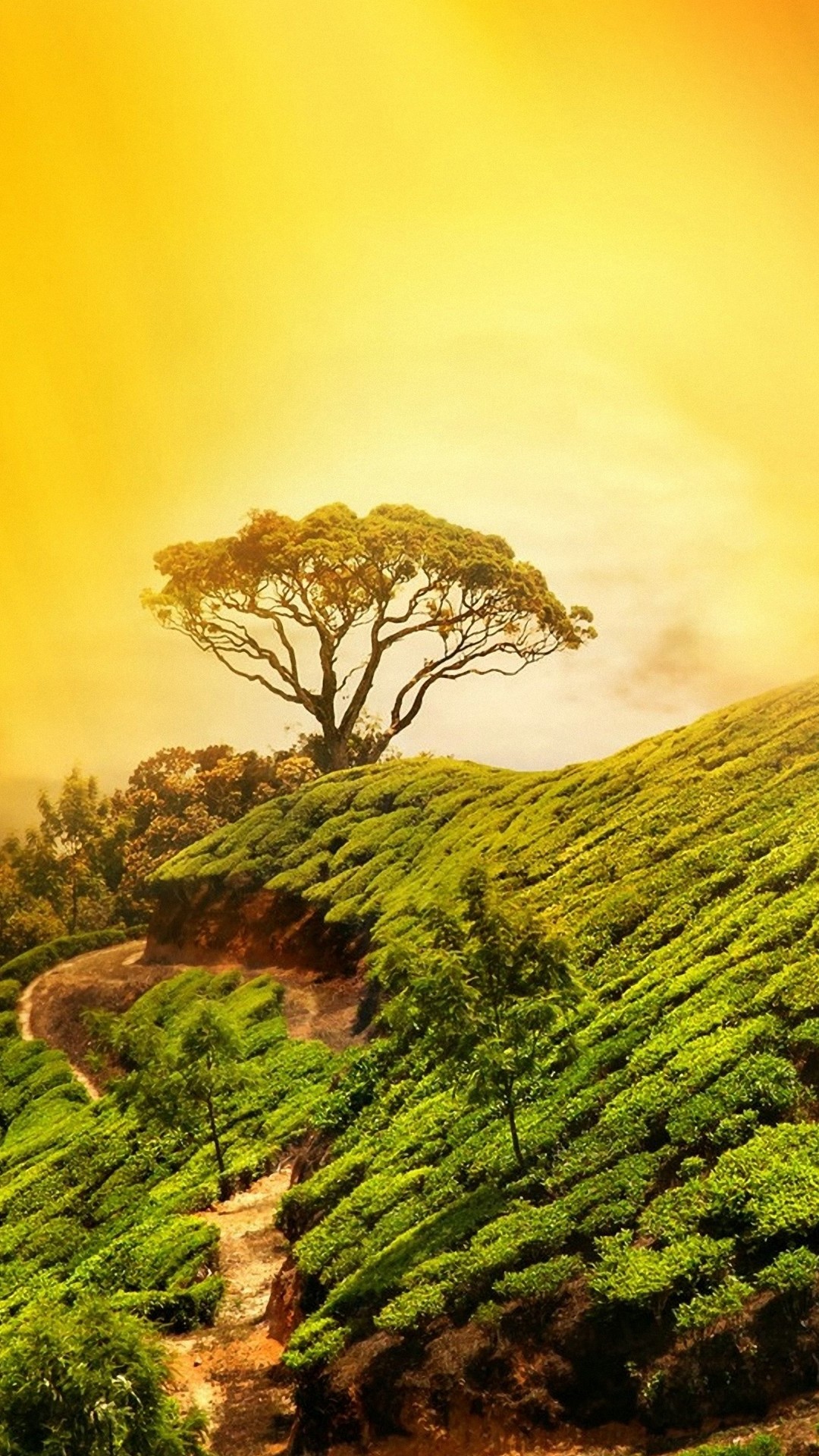 Best Nature Wallpapers Iphone Resolution - Best Nature Pictures 2019 - 1080x1920 Wallpaper Best Nature Wallpapers Iphone Resolution - Best Nature Pictures 2019 - 1080x1920 Wallpaper