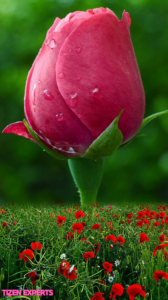 Wallpaper Photo Gallery » Picserio - Warren Street Tube Station - HD Wallpaper 