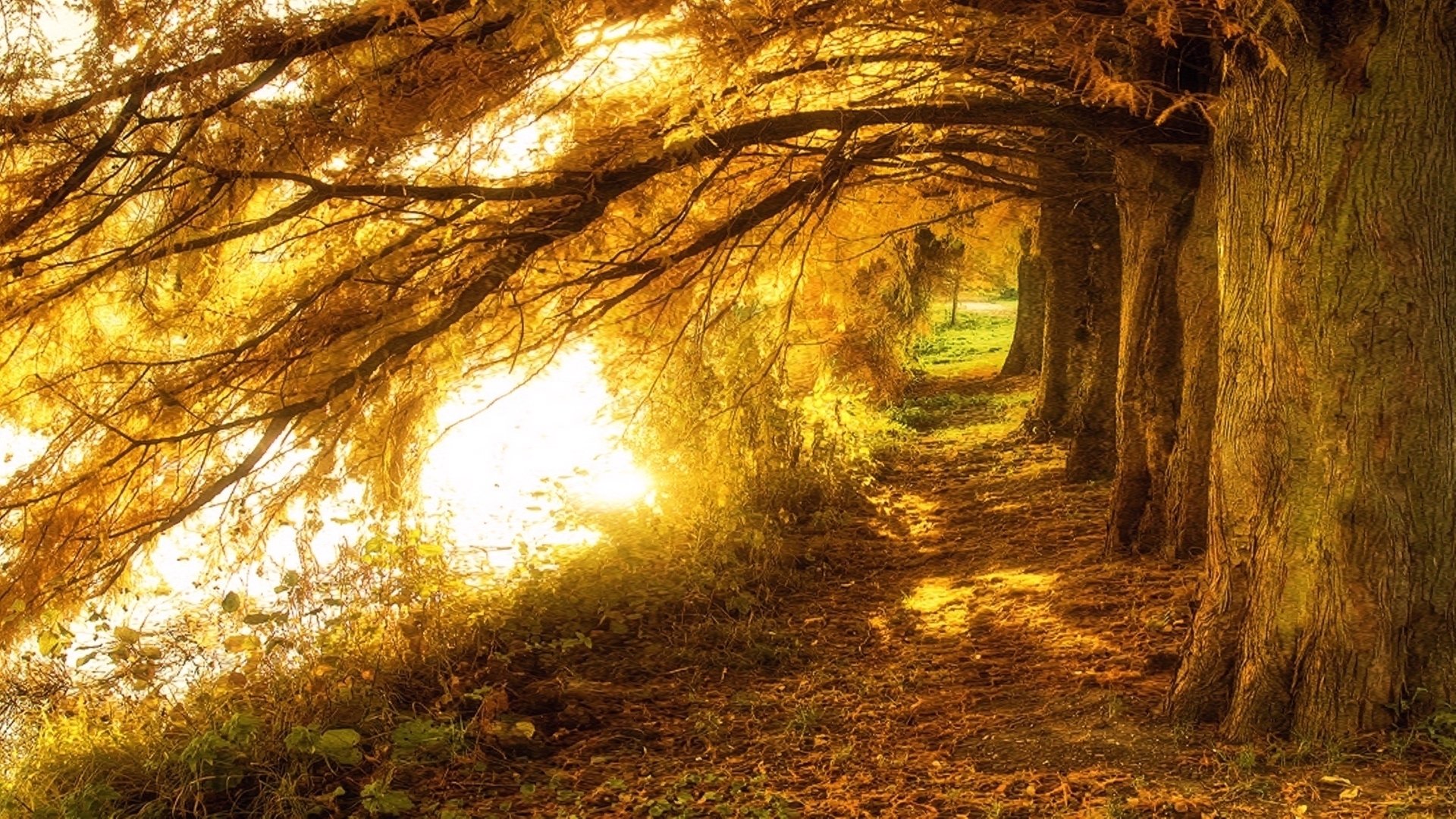 Photography Beautiful Background Image Hd - HD Wallpaper 