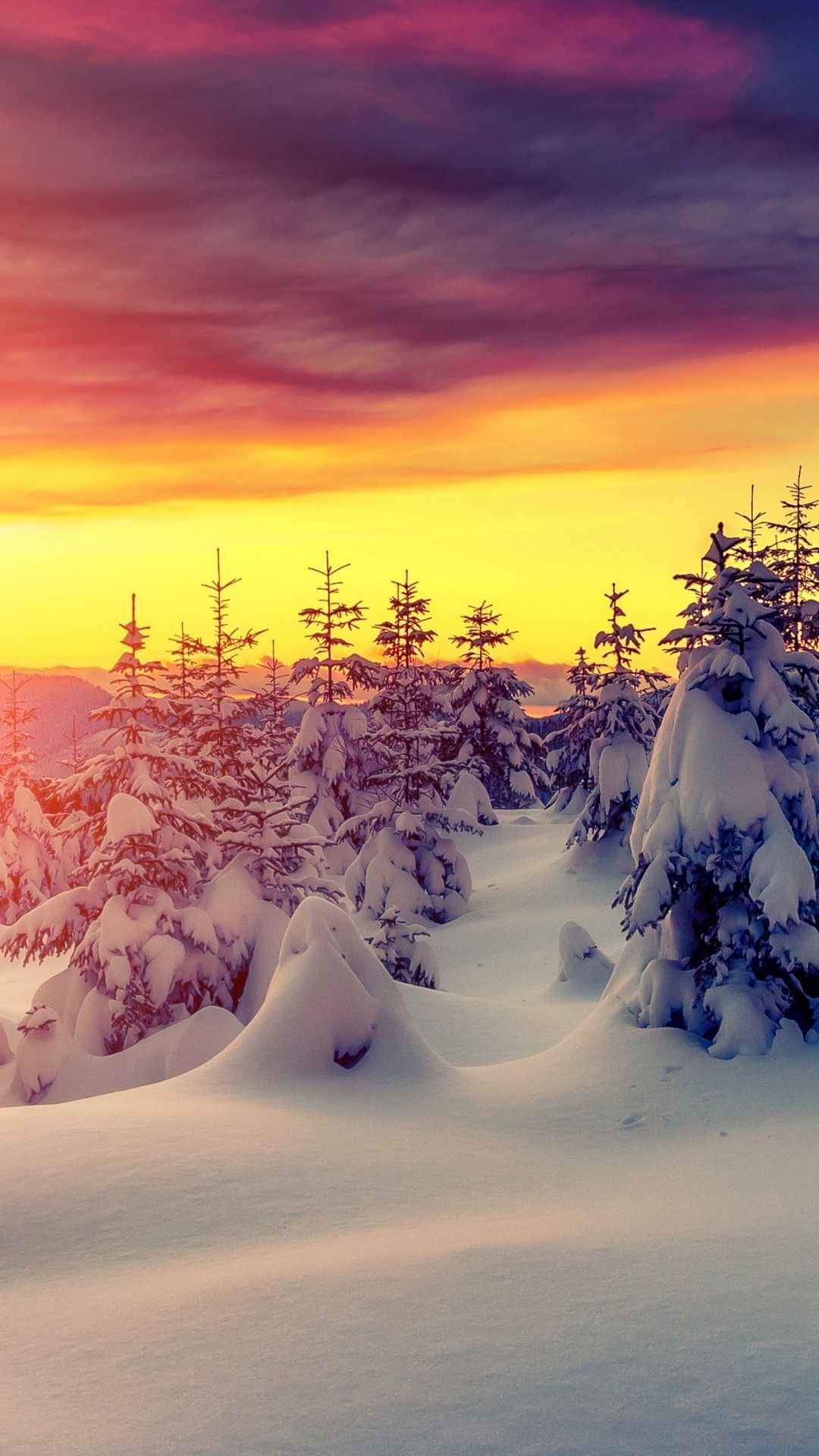 Winter Sunset With Snow 4k Ultra Hd Wallpaper - Tundra Sunset - HD Wallpaper 