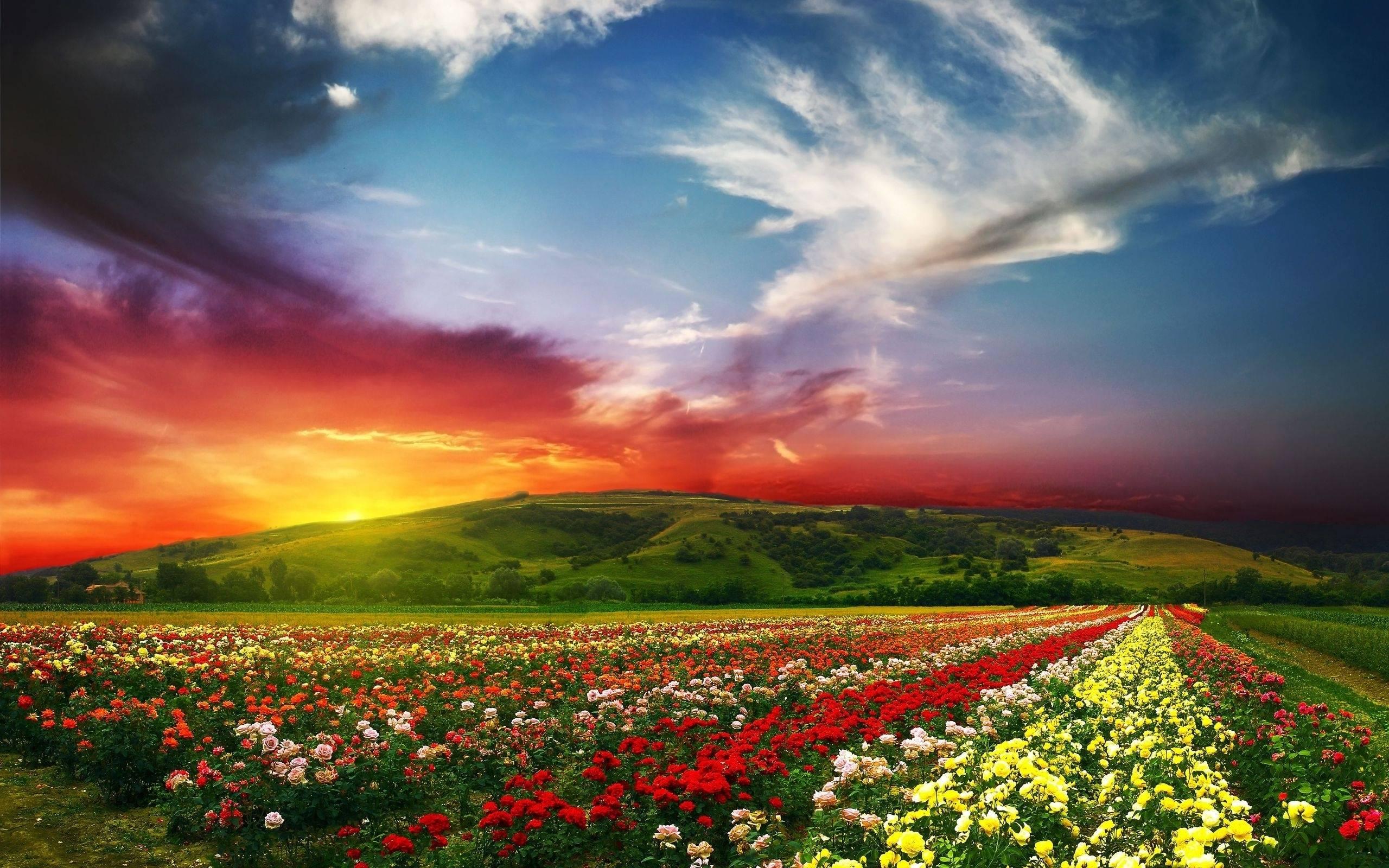 Best Nature Images Free Download - 2560x1600 Wallpaper Best Nature Images Free Download - 2560x1600 Wallpaper