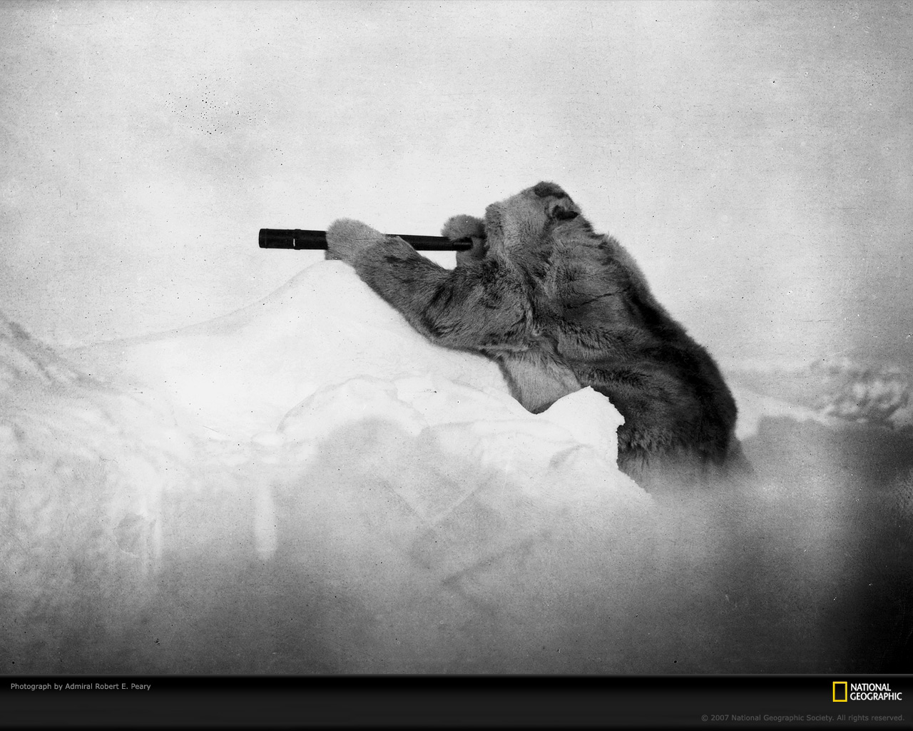 Wallpaper Computer Wallpapers, Desktop Backgrounds - National Geographic Best Photo 2018 - HD Wallpaper 