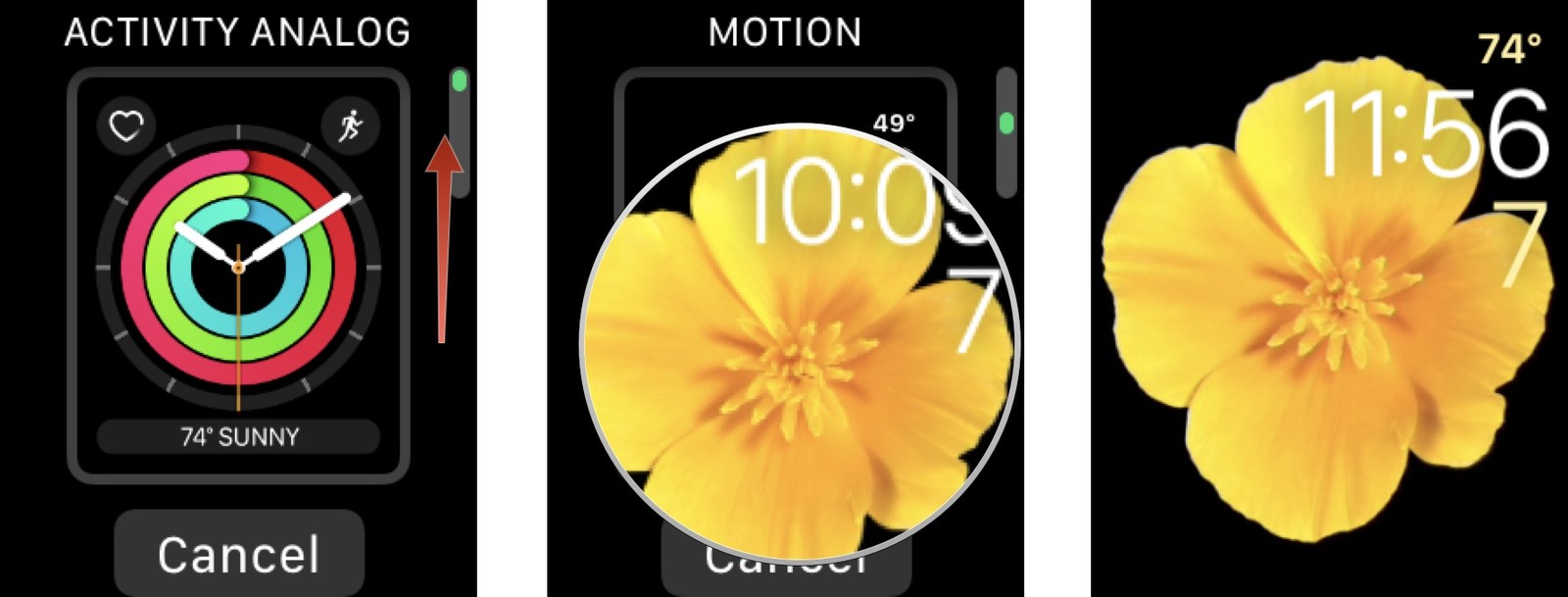 Selecting A New Watch Face On Apple Watch - Apple Watch Wallpaper Yellow Flower - HD Wallpaper 