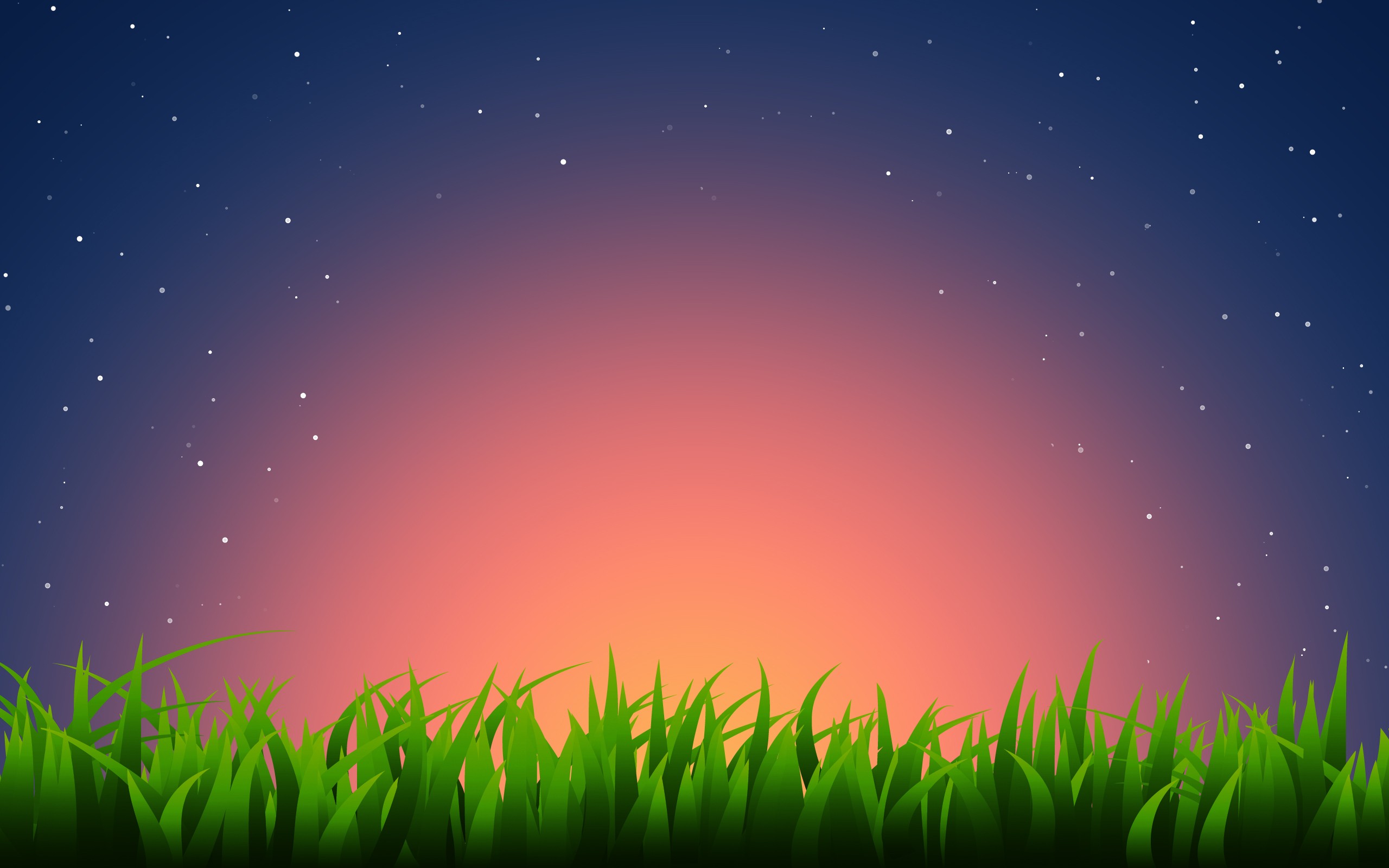 Grass And Night Sky - HD Wallpaper 