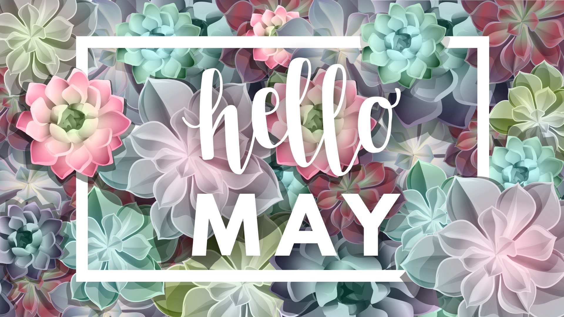 May 2019 Wallpaper - Rose - HD Wallpaper 