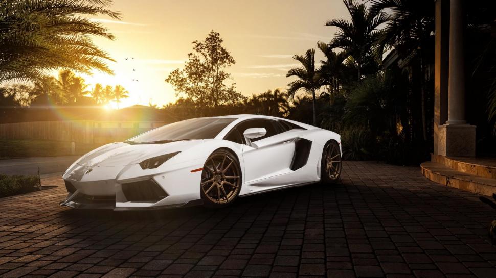 Lamborghini, White Sports Car, Car Pictures, Ultra - Ultra Hd Hd Car Wallpapers 1080p - HD Wallpaper 