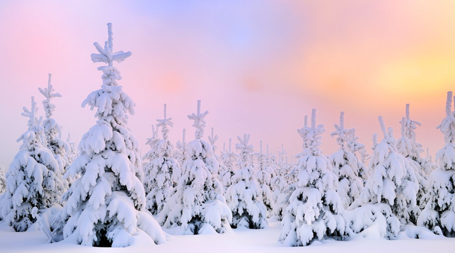 Winter Snow Desktop Wallpaper Hd 49817 Dongxue Series - Snow Desktop Backgrounds - HD Wallpaper 