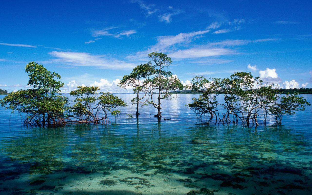 10 Best Ideas About Live Wallpaper For Pc On Pinterest - Aruba - HD Wallpaper 