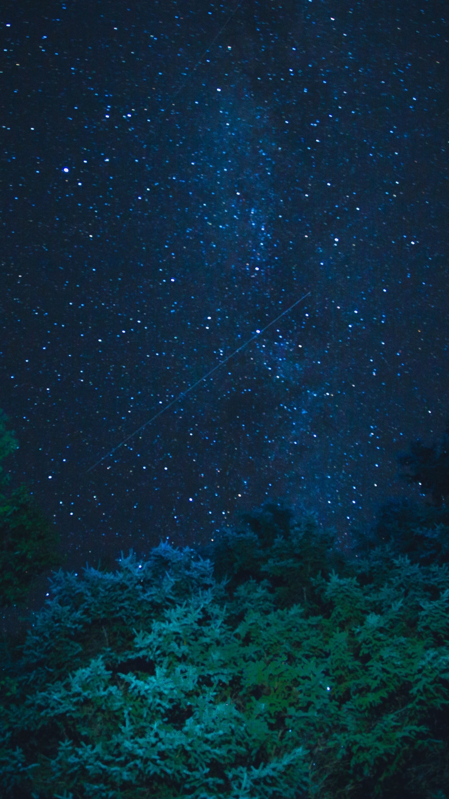Starry Sky Stars Night Trees Wallpaper - Night Sky - HD Wallpaper 