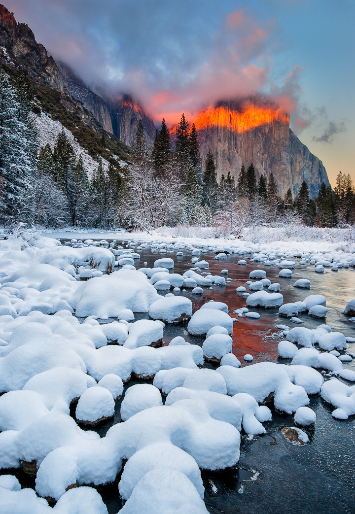 Forest Fire In Snow - HD Wallpaper 