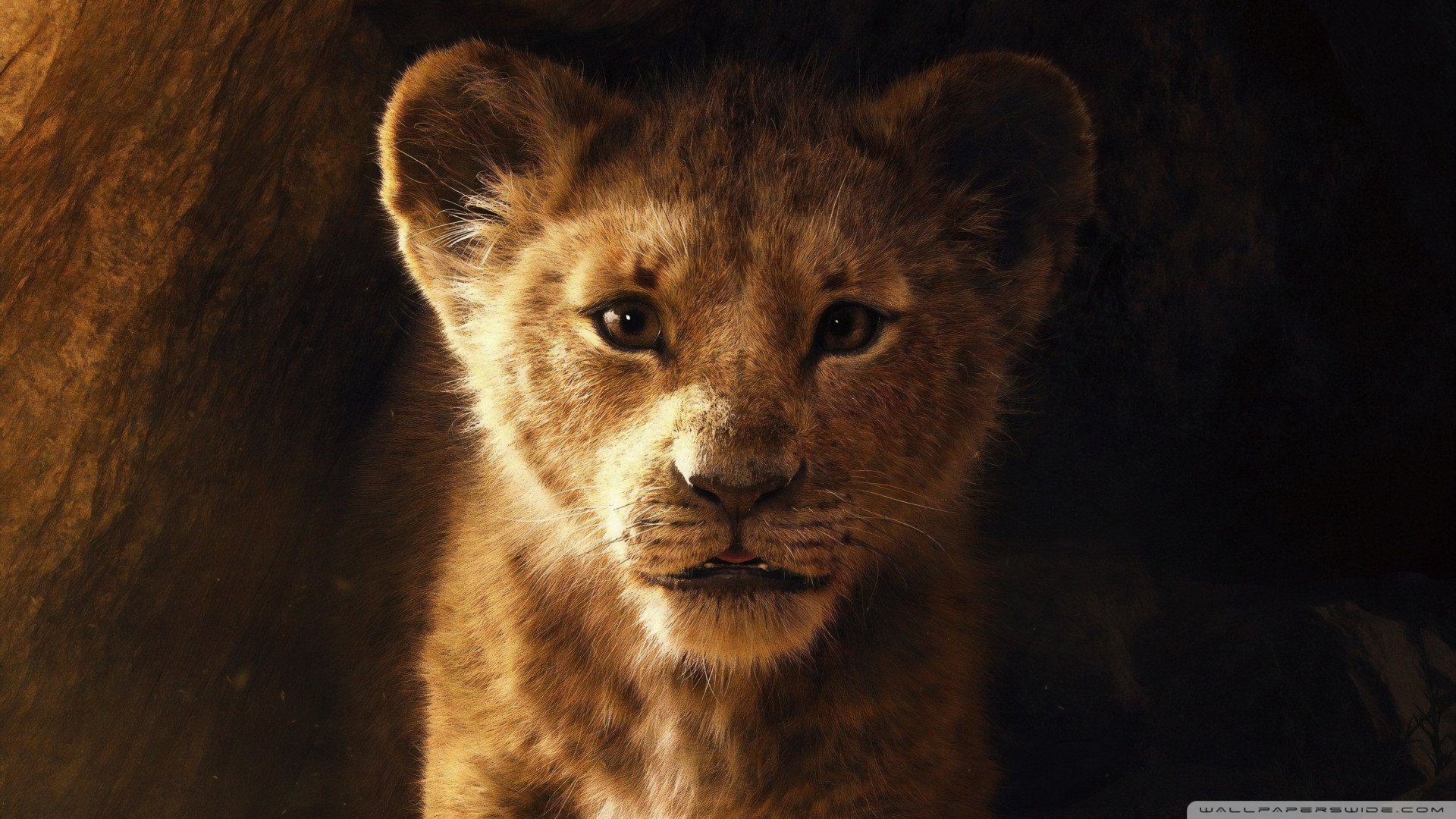 Lion King 2019 Sad - HD Wallpaper 