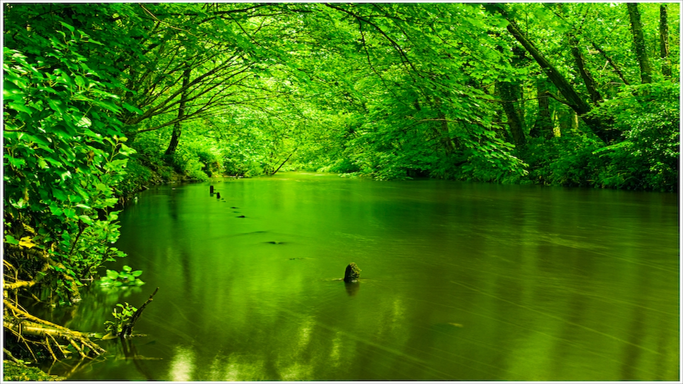 Green Stream Nature Wallpaper - Green Nature Desktop Background - HD Wallpaper 