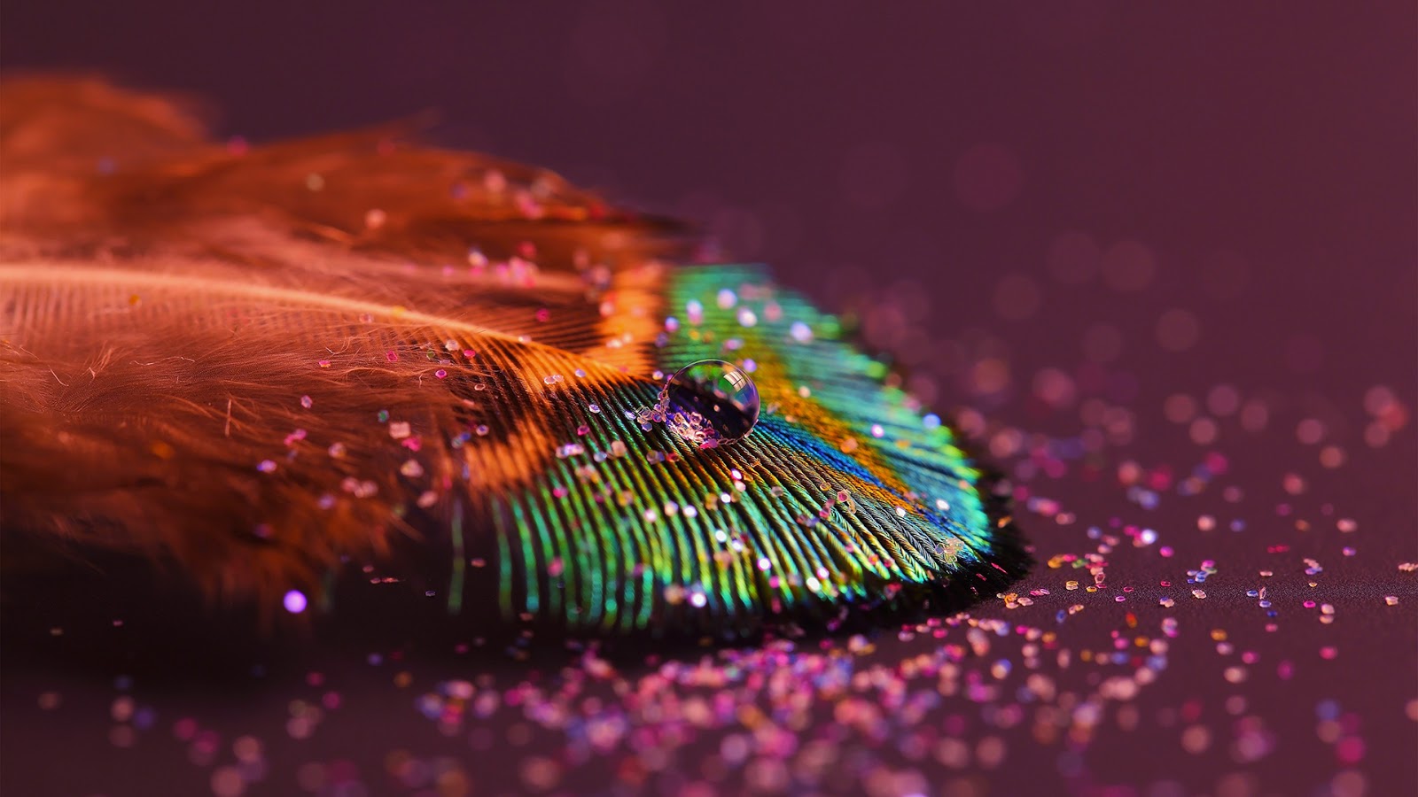 Ultra Hd Peacock Feather - HD Wallpaper 