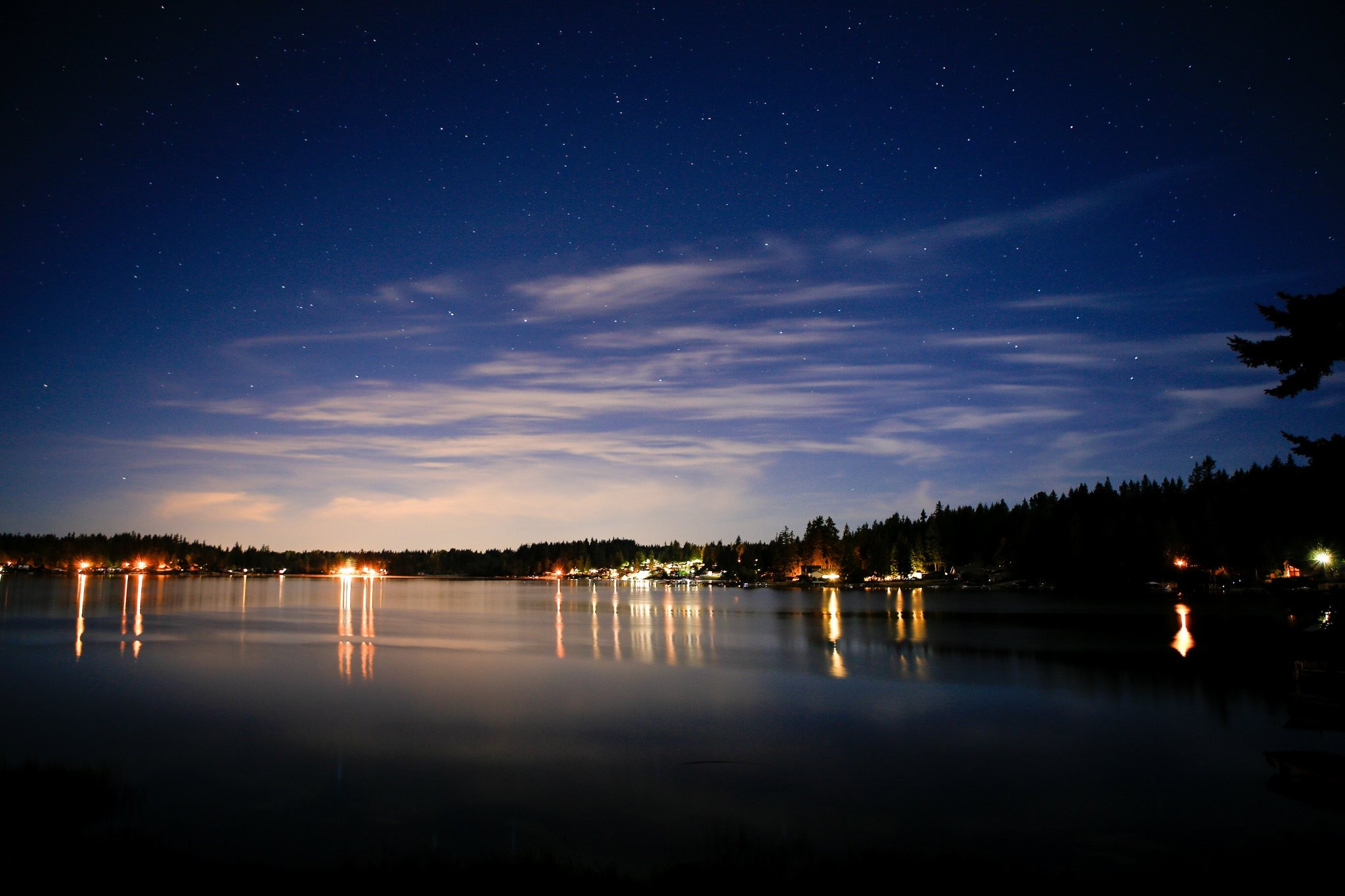 Nature, Wallpaper, Roctreeshd Wallpaper, Landscapes,forests, - Reflection - HD Wallpaper 