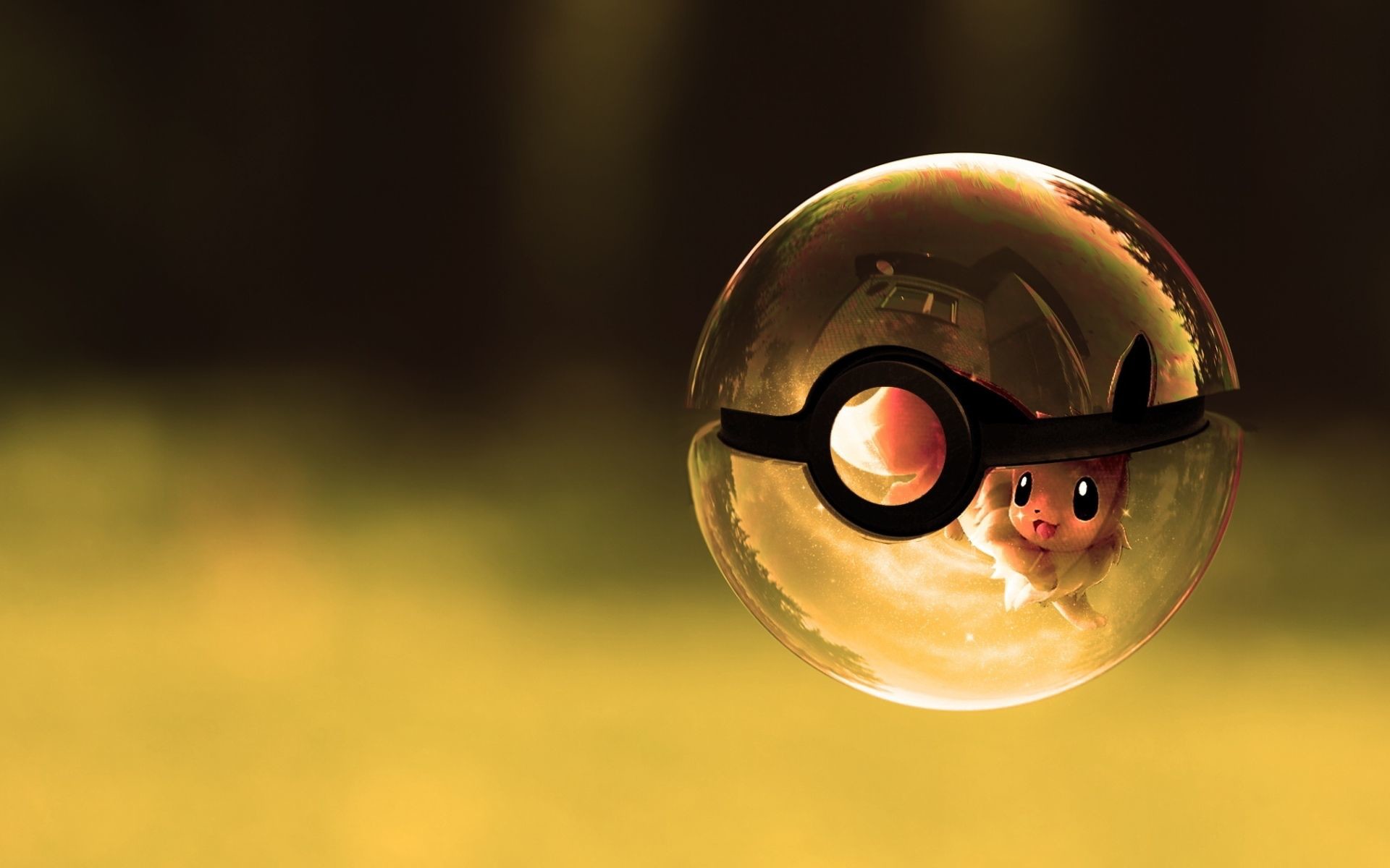 Pokemon 3d Wallpaper - Pokemon In A Pokeball - HD Wallpaper 