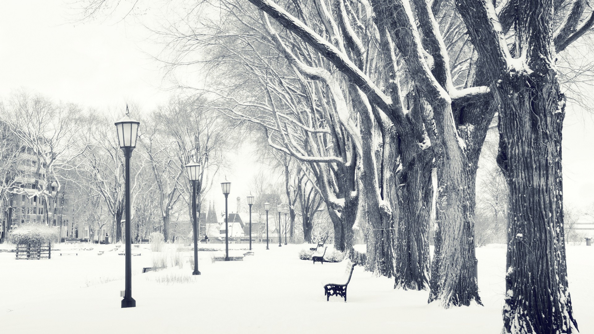 High Resolution Winter Desktop Backgrounds - HD Wallpaper 