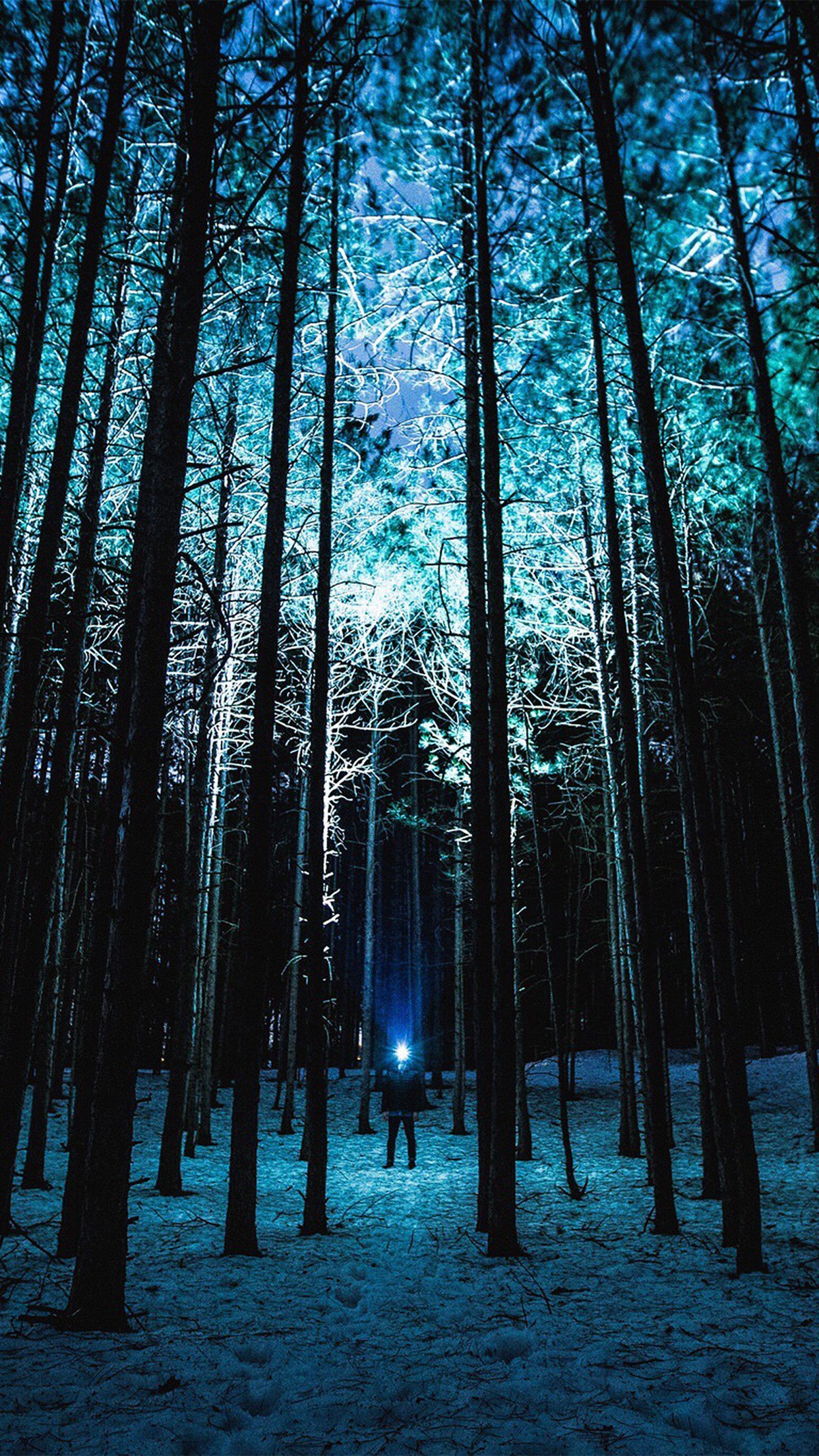 Wood Mountain Nature Blue Night Android Wallpaper - Hd Wallpaper For Android Nature - HD Wallpaper 