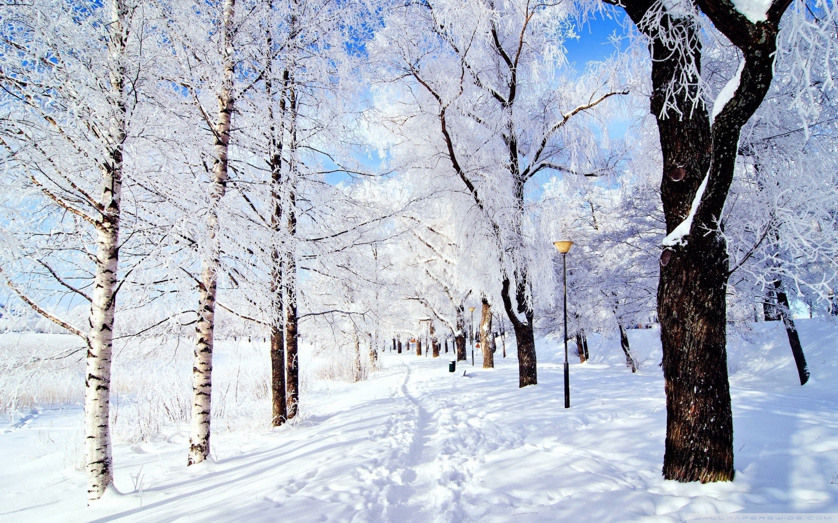 Winter Wonderland Laptop Background - HD Wallpaper 