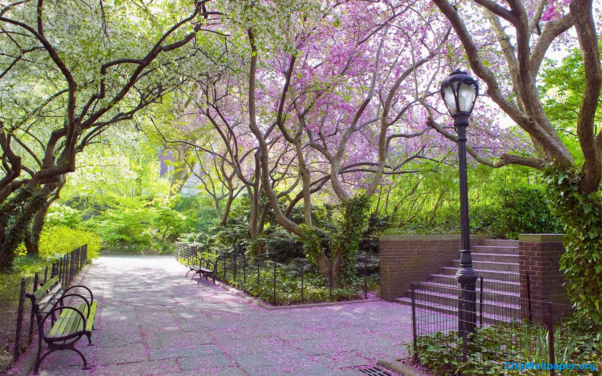Central Park Wallpapers 
 Data-src /img/286400 - New York Central Park Spring - HD Wallpaper 