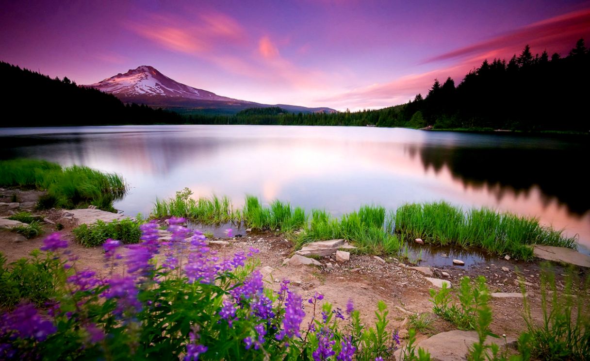 Scenic Photos Beautiful Scenery Photos Download - Beautiful Landscape - HD Wallpaper 