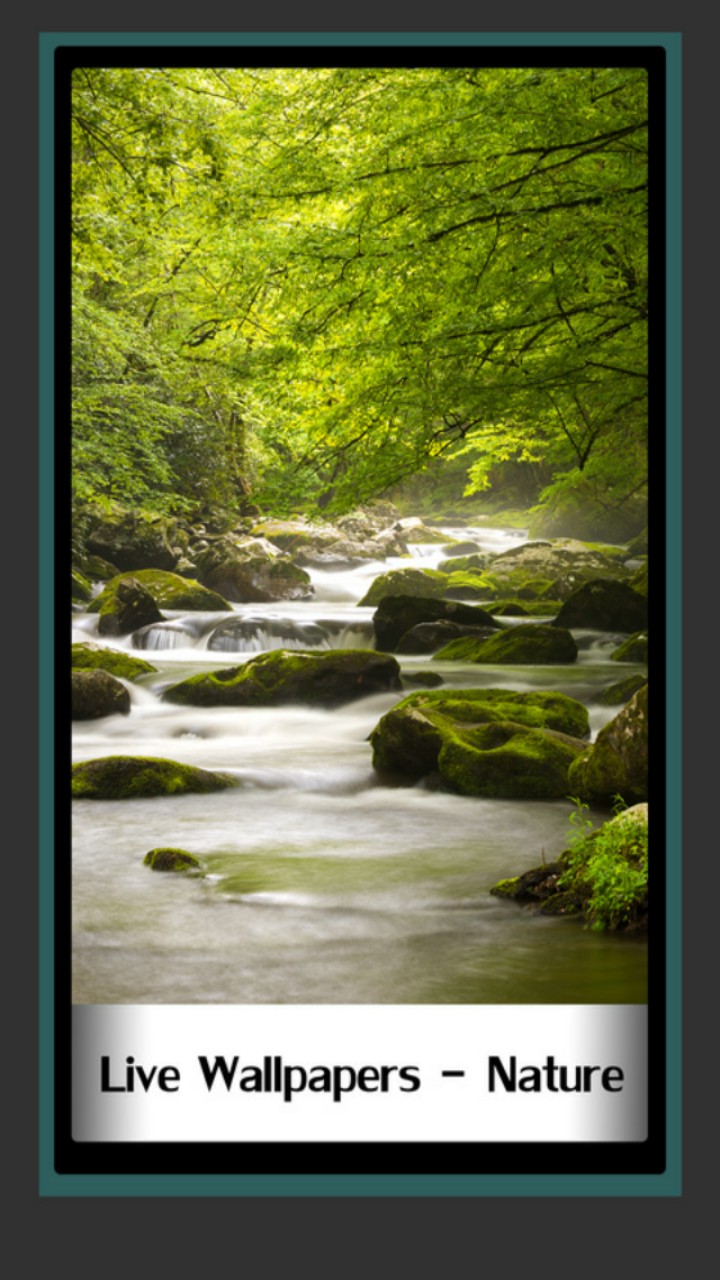 Live Wallpapers - Nature - Mountain Stream - HD Wallpaper 