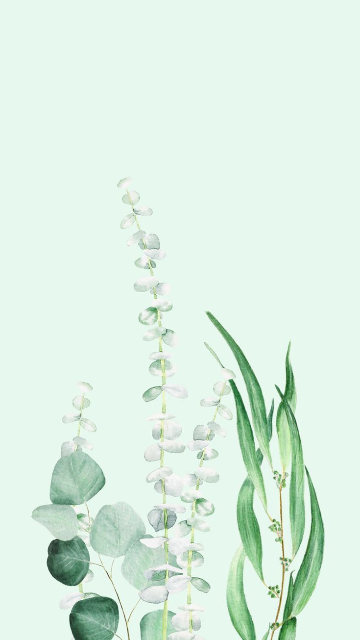 Plant Phone Background - HD Wallpaper 