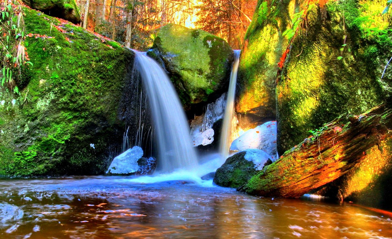 Hd Nature Wallpapers, Natural Images, Nature Background - Background Image Natural Hd Download - 1280x780 Wallpaper Hd Nature Wallpapers, Natural Images, Nature Background - Background Image Natural Hd Download - 1280x780 Wallpaper