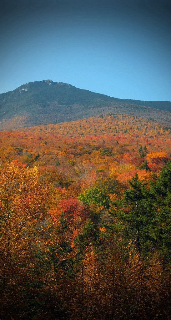 Iphone 7 - HD Wallpaper 