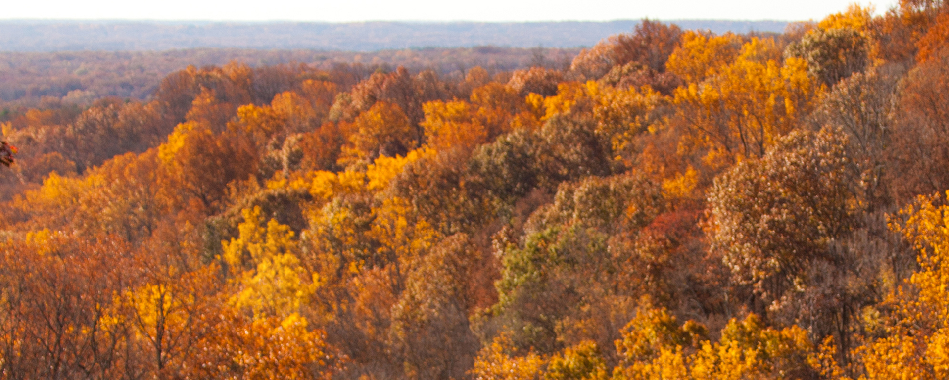 Autumn - HD Wallpaper 