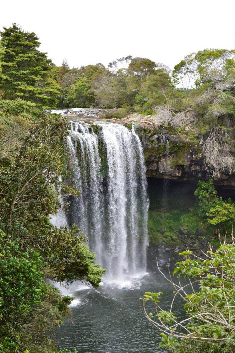 New Nature Wallpaper - HD Wallpaper 