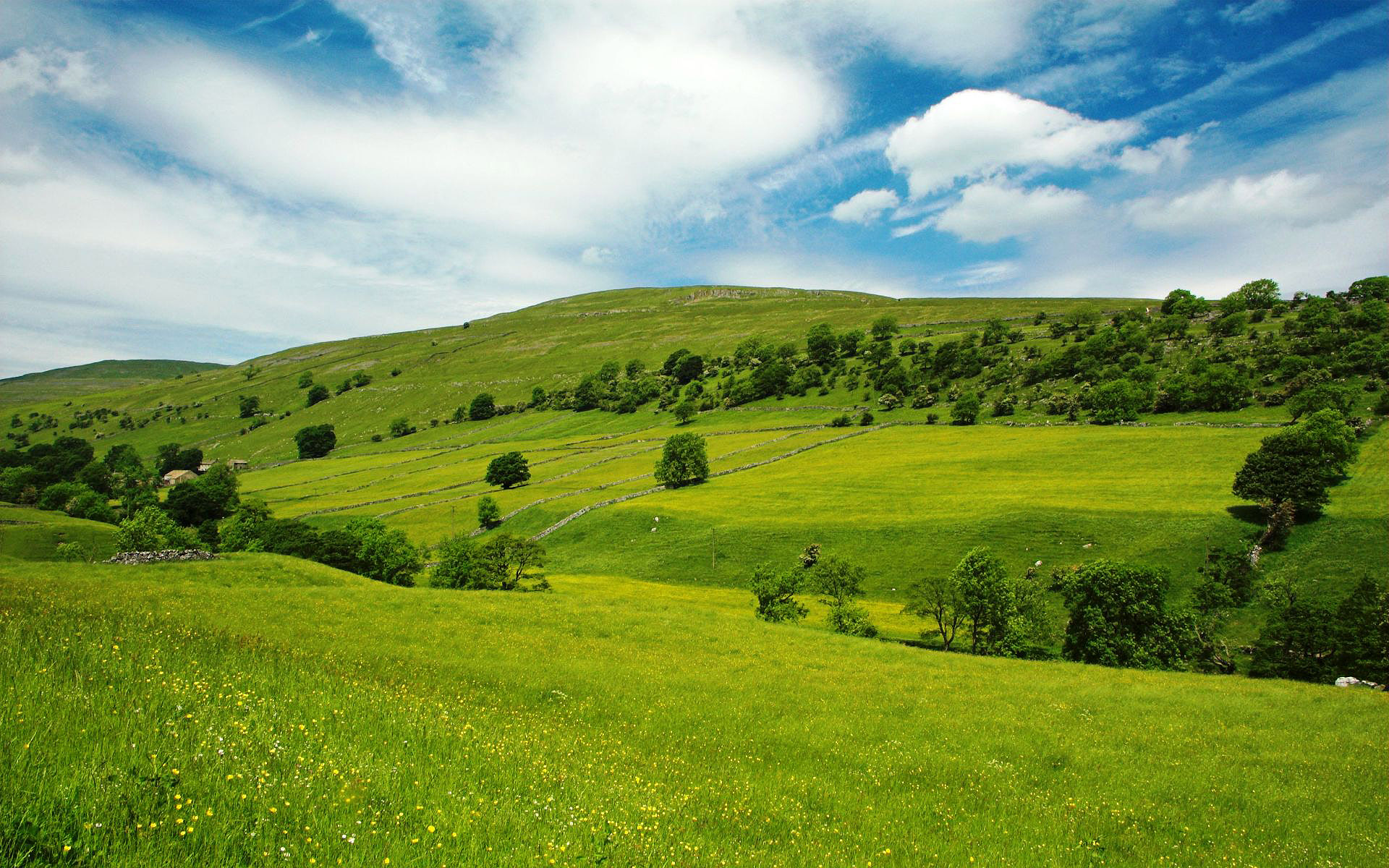 Temperate Forest And Grassland - 1920x1200 Wallpaper Temperate Forest And Grassland - 1920x1200 Wallpaper
