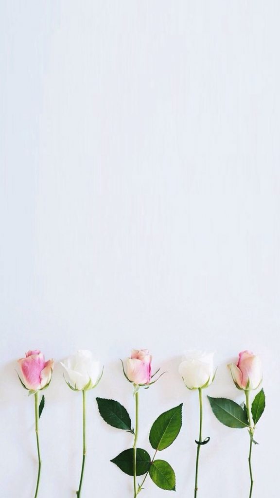 simple flower wallpapers