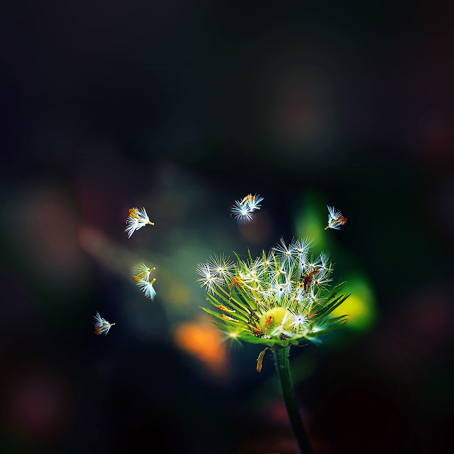 Punjabi Good Morning Quotes In English - HD Wallpaper 