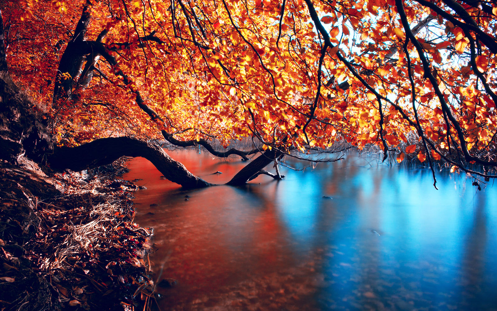 Hd Autumn - HD Wallpaper 