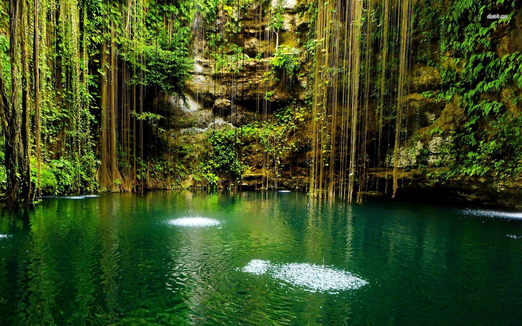 Hd Wallpapers 1680x1050 Nature - HD Wallpaper 