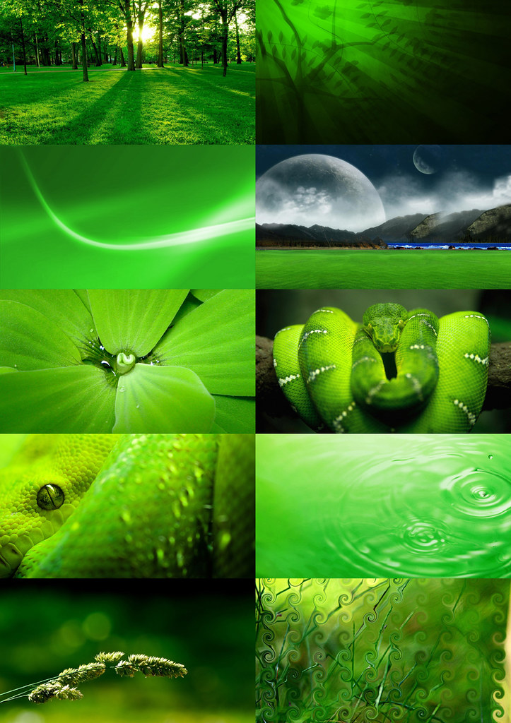 Grass - HD Wallpaper 