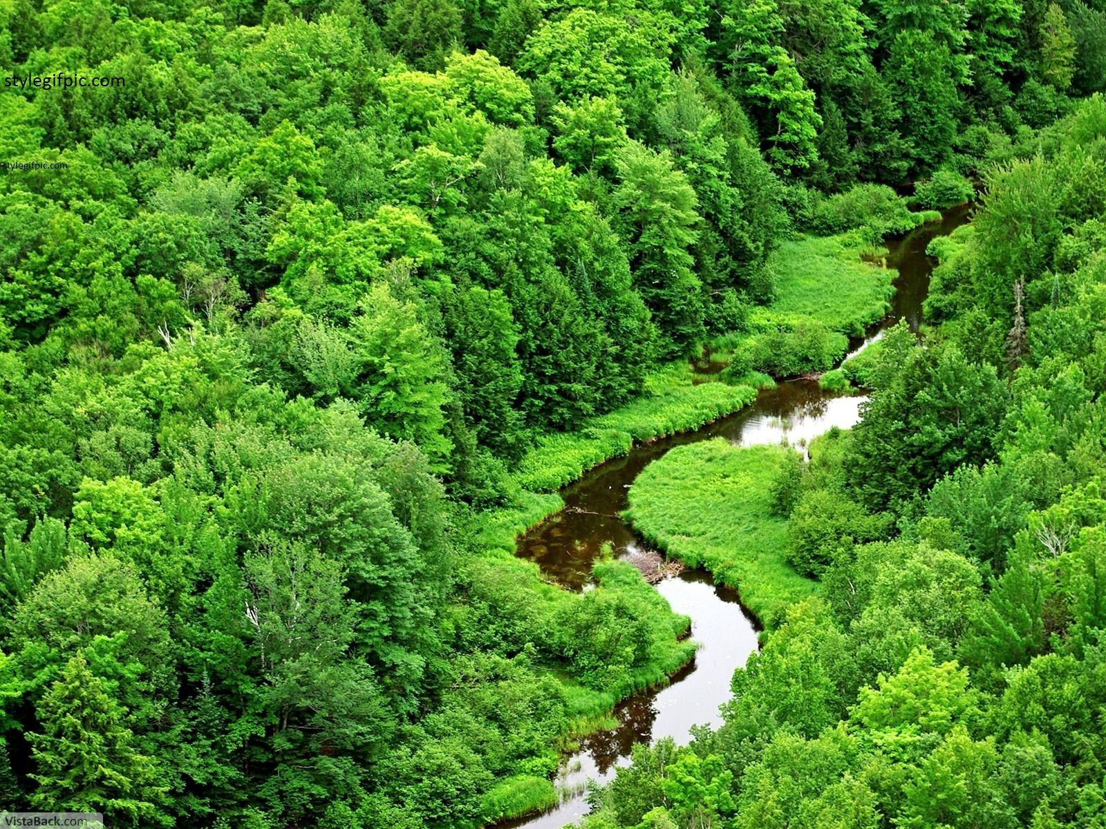 Most Beautiful Nature Photos - Green Nature Wallpaper Hd 1080p - 1600x1200 Wallpaper Most Beautiful Nature Photos - Green Nature Wallpaper Hd 1080p - 1600x1200 Wallpaper