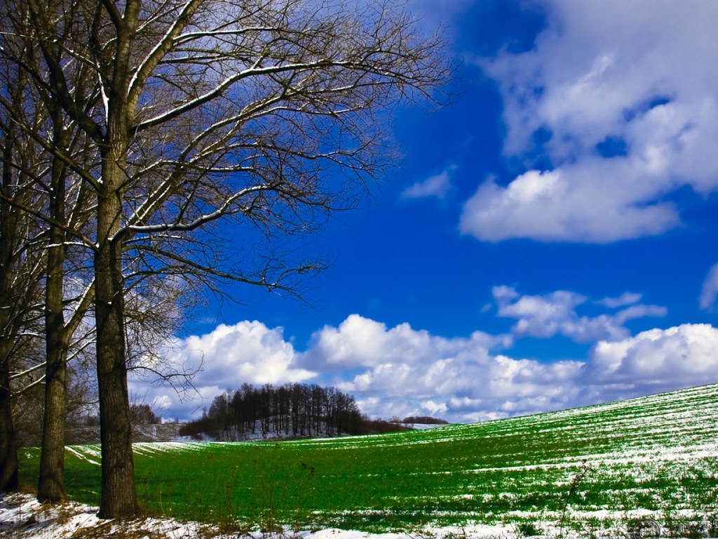 Wallpaper - HD Wallpaper 