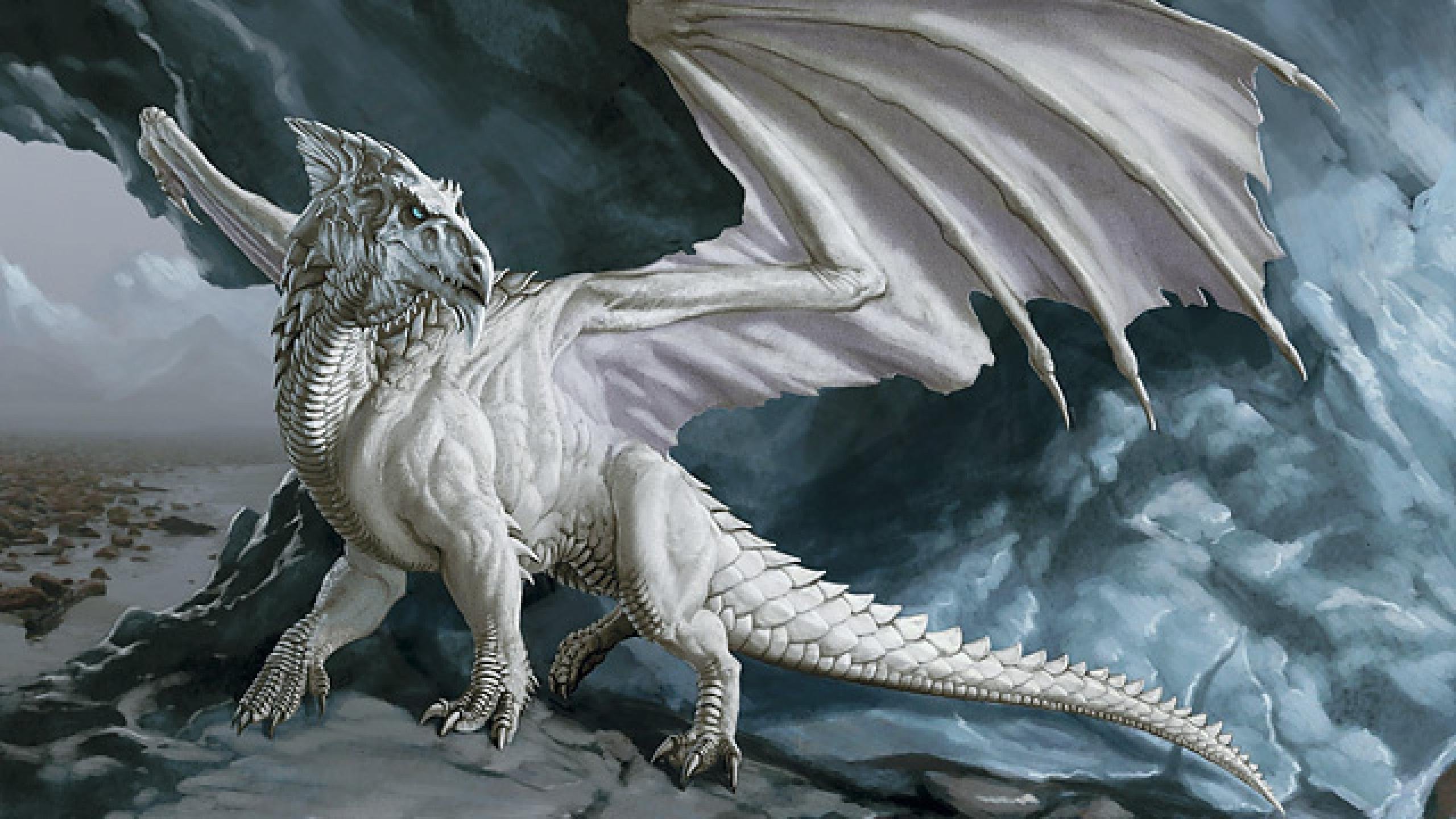 White Dragon Wallpaper Hd - HD Wallpaper 