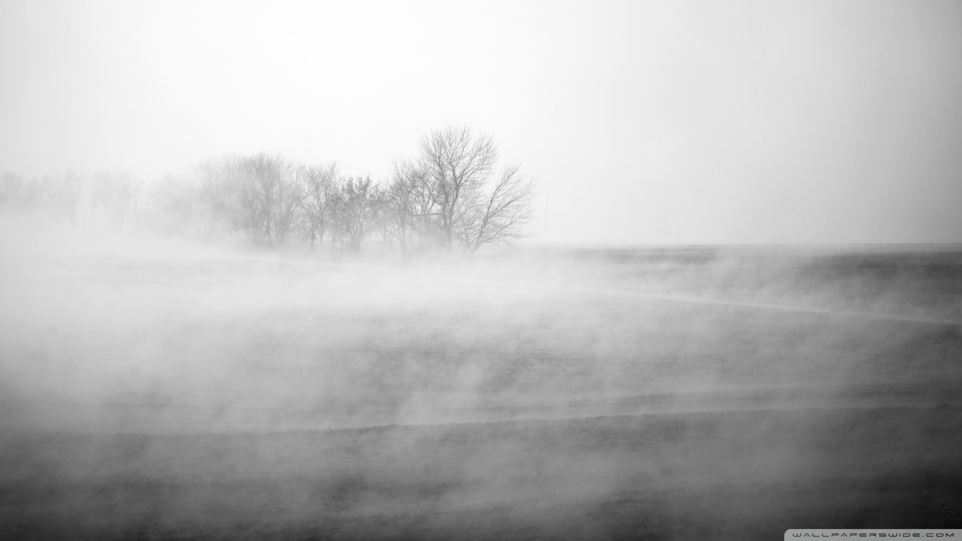 Wallpaper - HD Wallpaper 