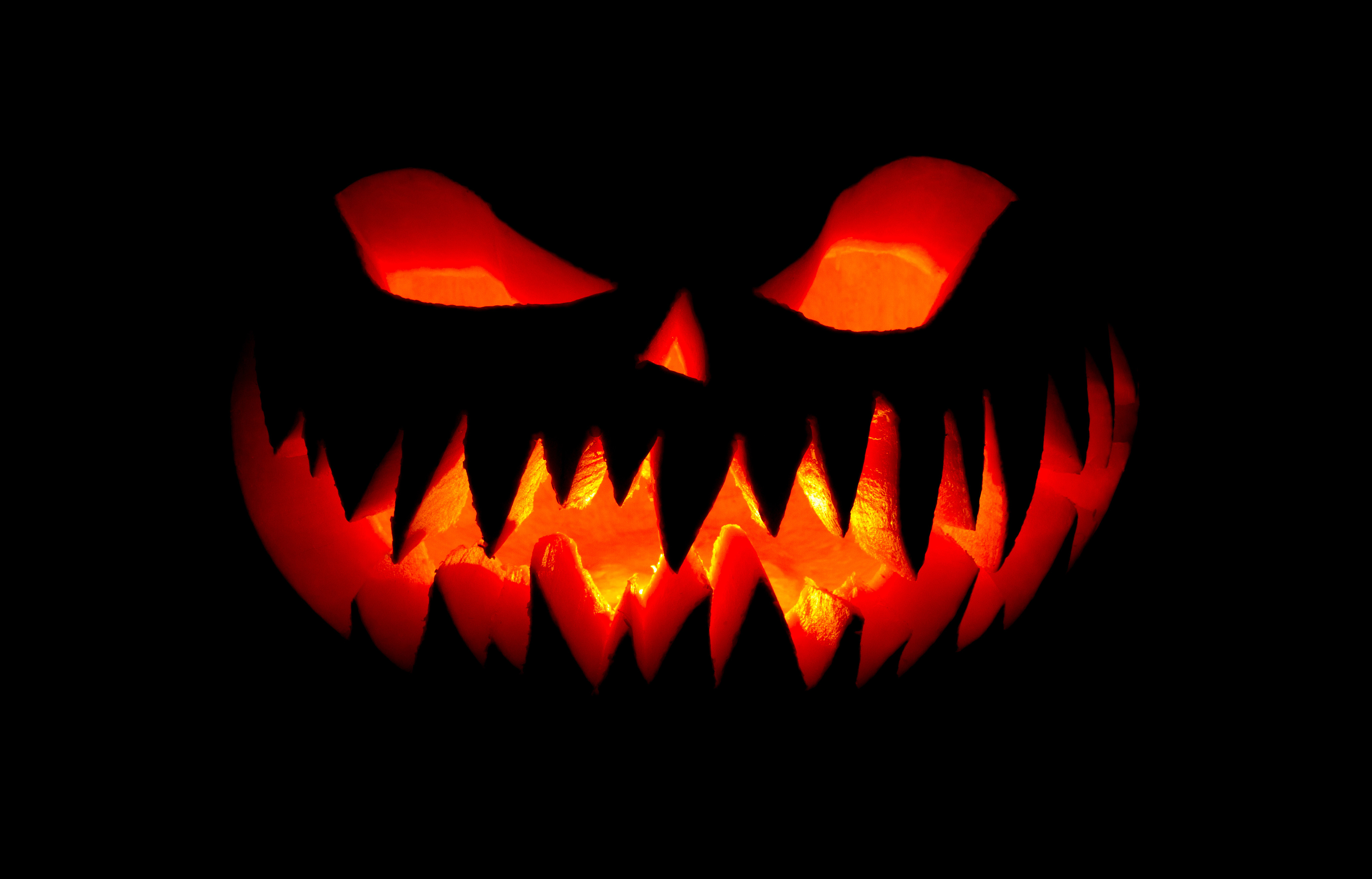 Jack O Lantern Hd - 4080x2615 Wallpaper - teahub.io