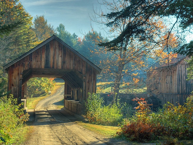 Forest Road Wallpaper Hd Pc - Happy Birthday Covered Bridge - HD Wallpaper 