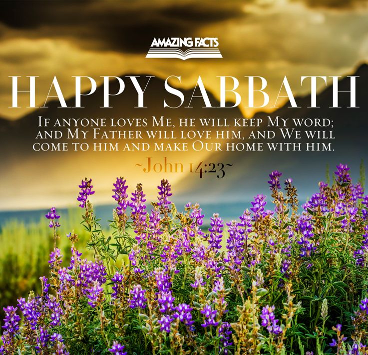 John 14 - - Valley Of Flowers 1080p - HD Wallpaper 