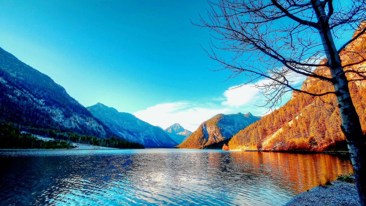 Dell P2312h - HD Wallpaper 