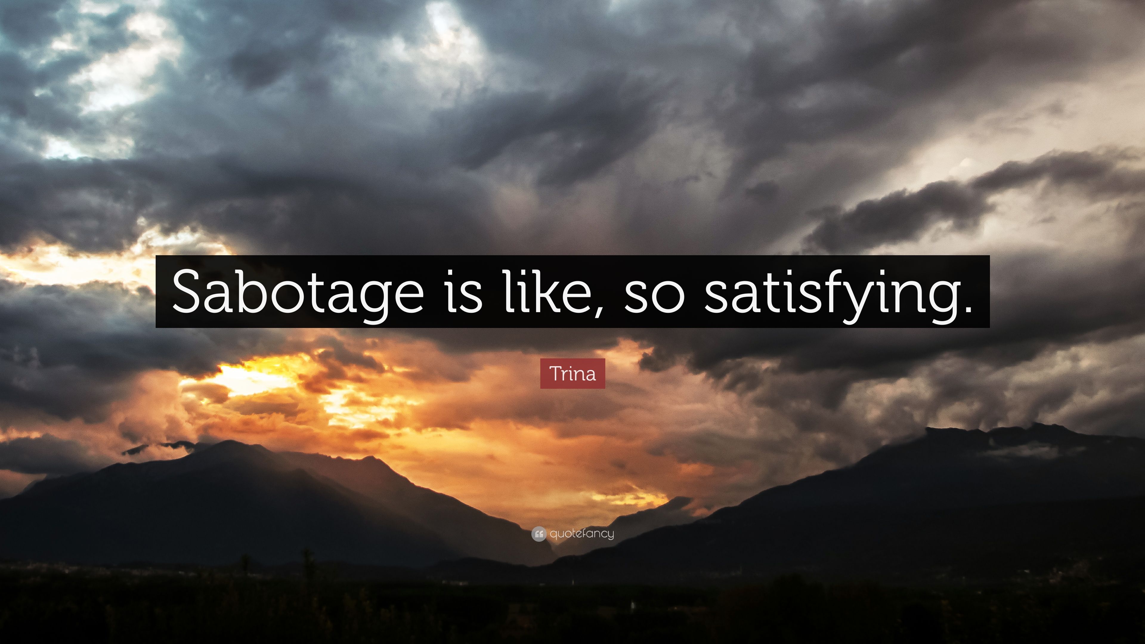 “sabotage Is Like, So Satisfying - Krist Novoselic Quotes About Kurt - HD Wallpaper 