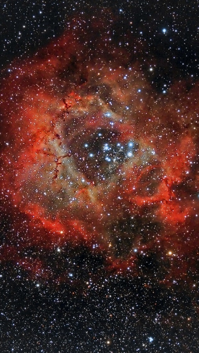 Iphone Wallpaper Beautiful Nebula, Rosette, Ngc 2237, - Rosette Nebula - HD Wallpaper 