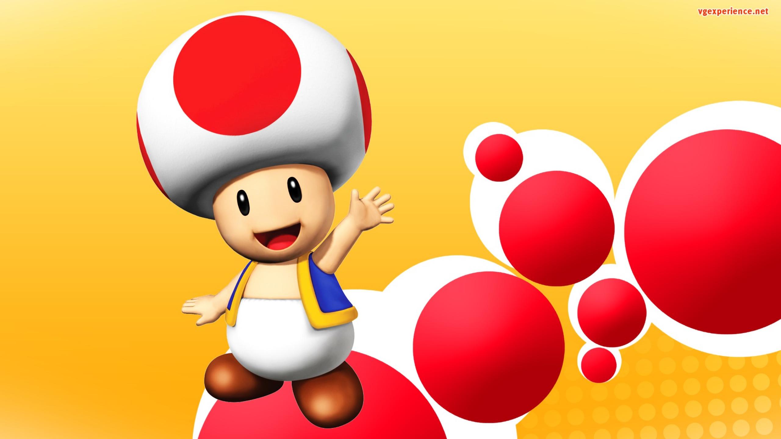 Toad Wallpaper Hd - HD Wallpaper 