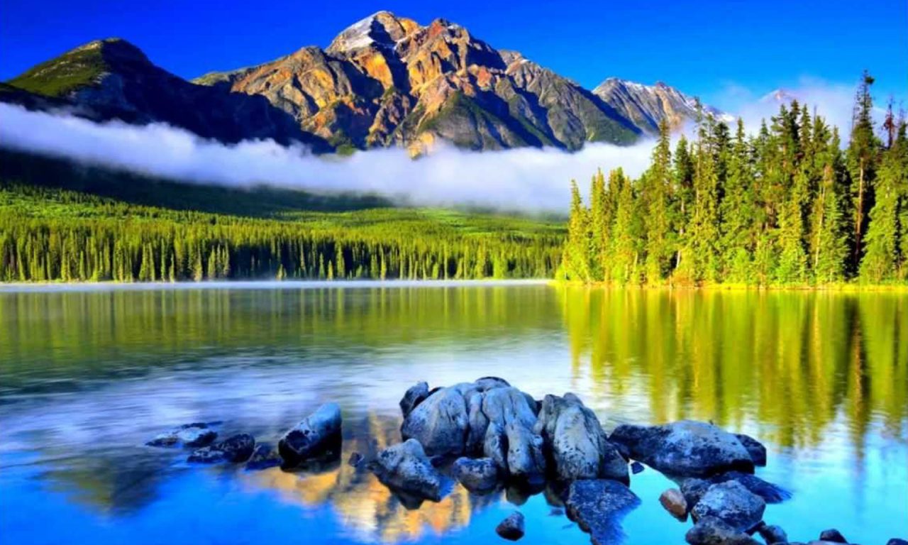 Collection Of Guns N Roses Wallpaper Hd On Hdwallpapers - Forest And Water And Mountains - HD Wallpaper 