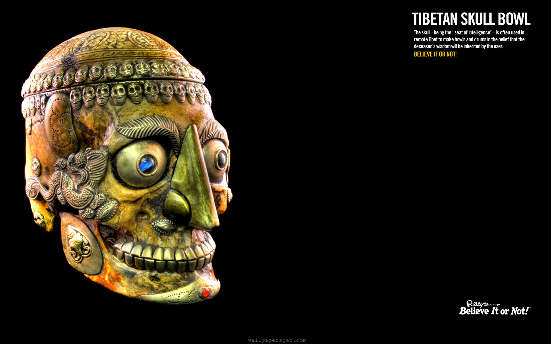 Tibetan Skull Bowl Wallpaper - HD Wallpaper 